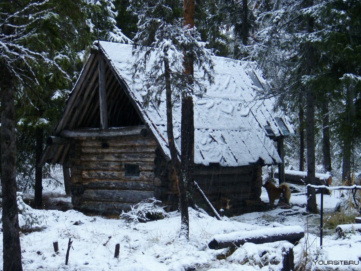 Изба зимовье Карелия