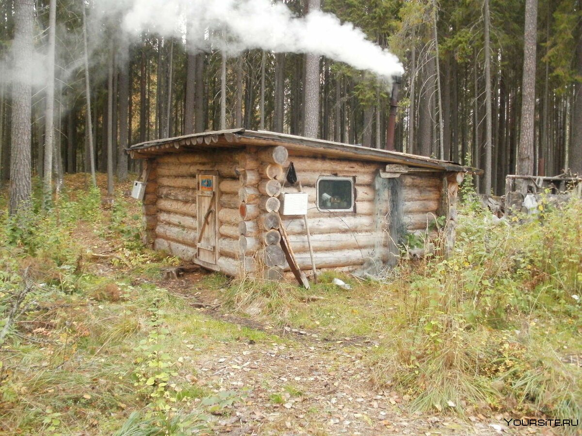 Бушкрафт Лесная Тайга