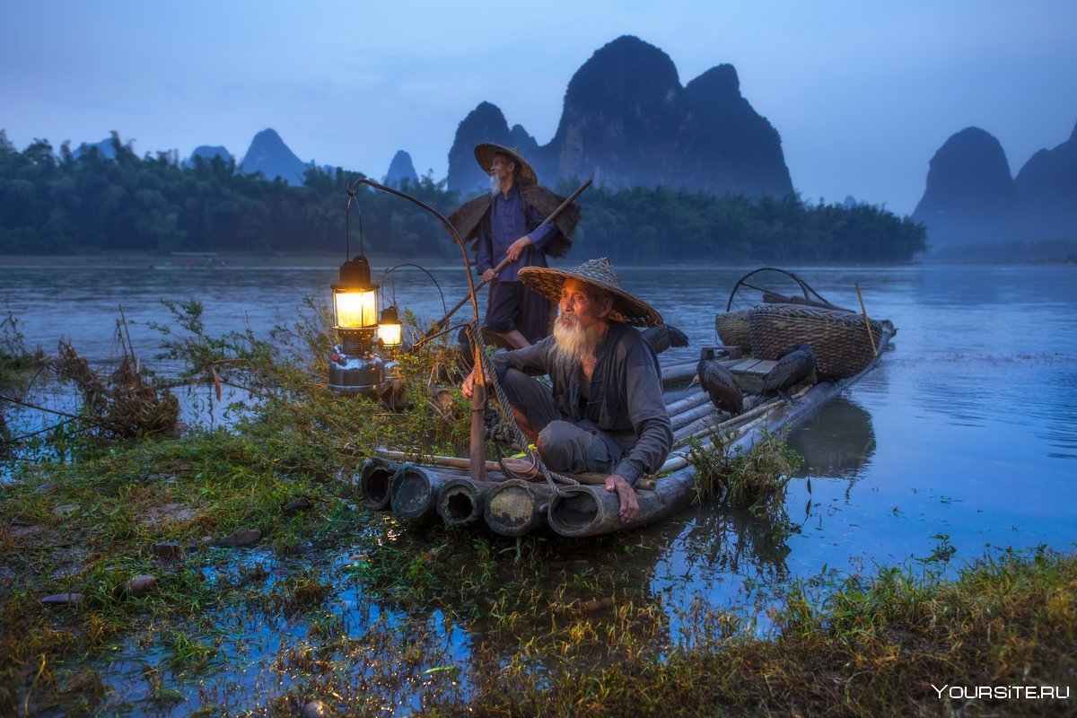 Китайские рыбаки с бакланами