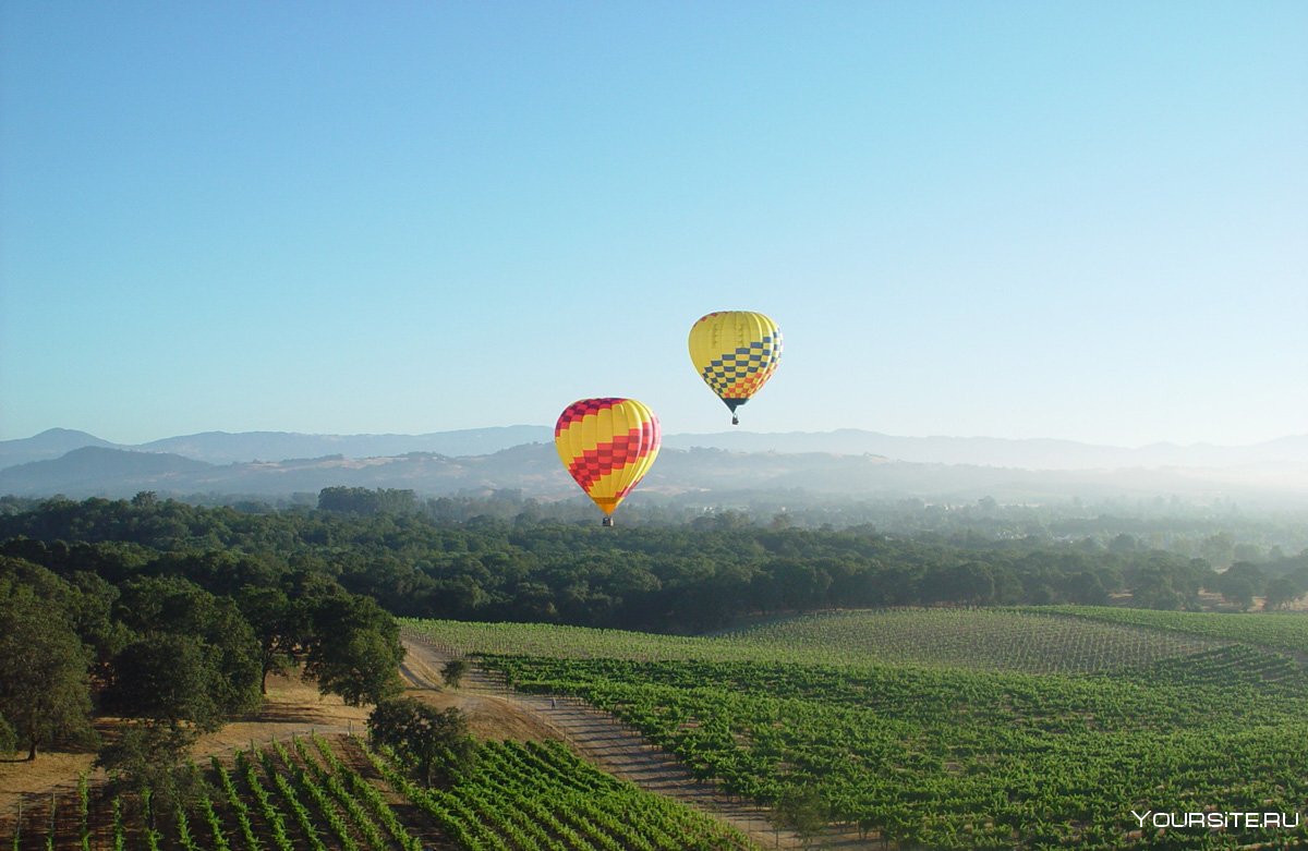 Trinchero Napa Valley планировка
