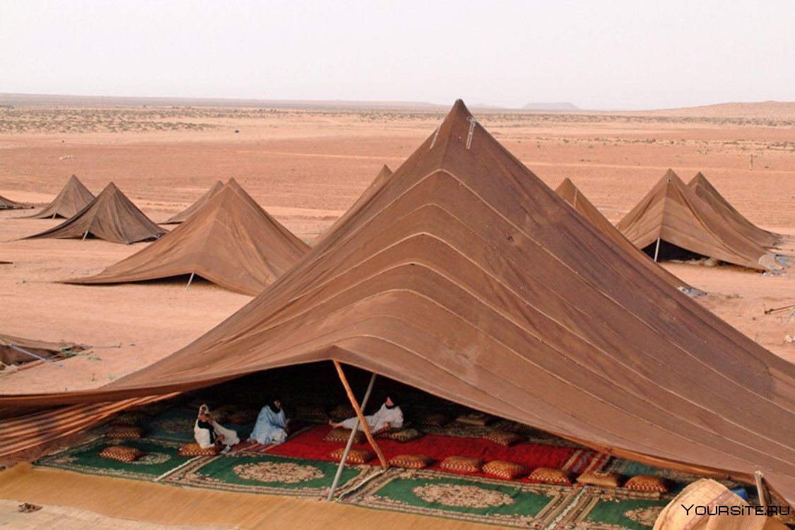 Палатка бедуинов в пустыне сахара Марокко