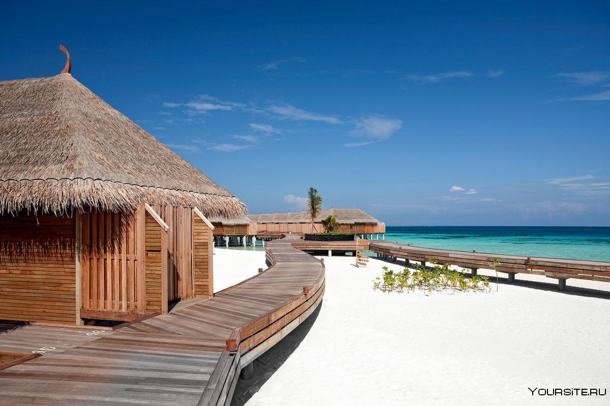 Отель Sun Island Resort Spa Мальдивы