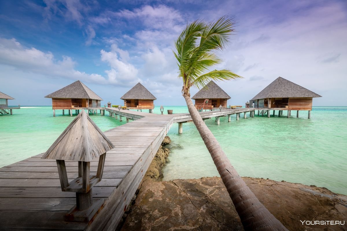 Sun Island Resort Spa Maldives вертикальное