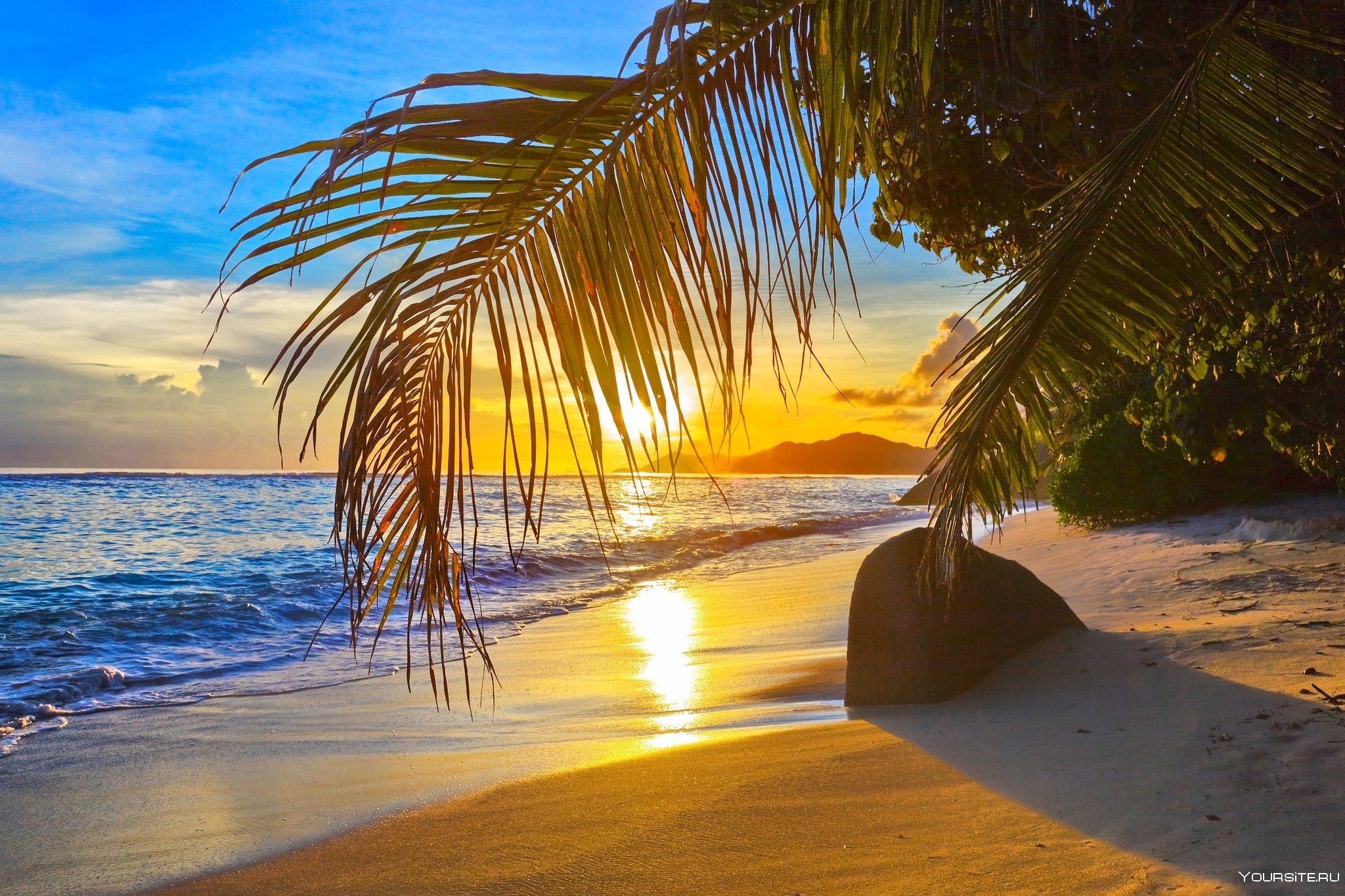 Покажи красивый пляж. Море пальмы. Красивый пляж. Пляж с пальмами. Море солнце.