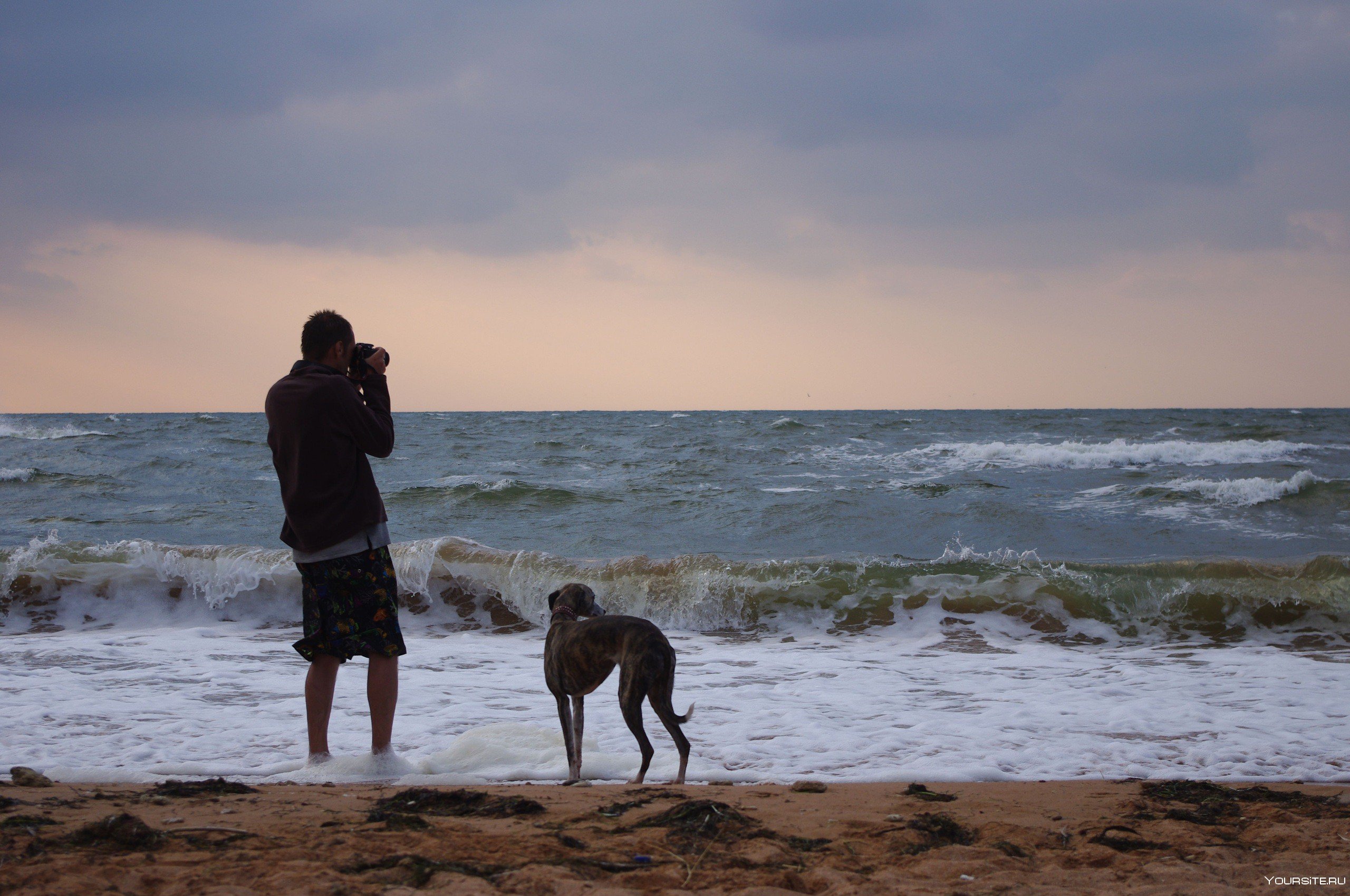 Одиноко гуляющий. Собака на берегу моря. Человек с собакой. Люди на море. Парень на берегу моря.