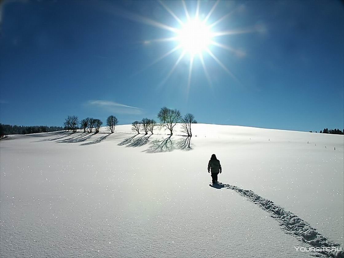 Снежное поле фото