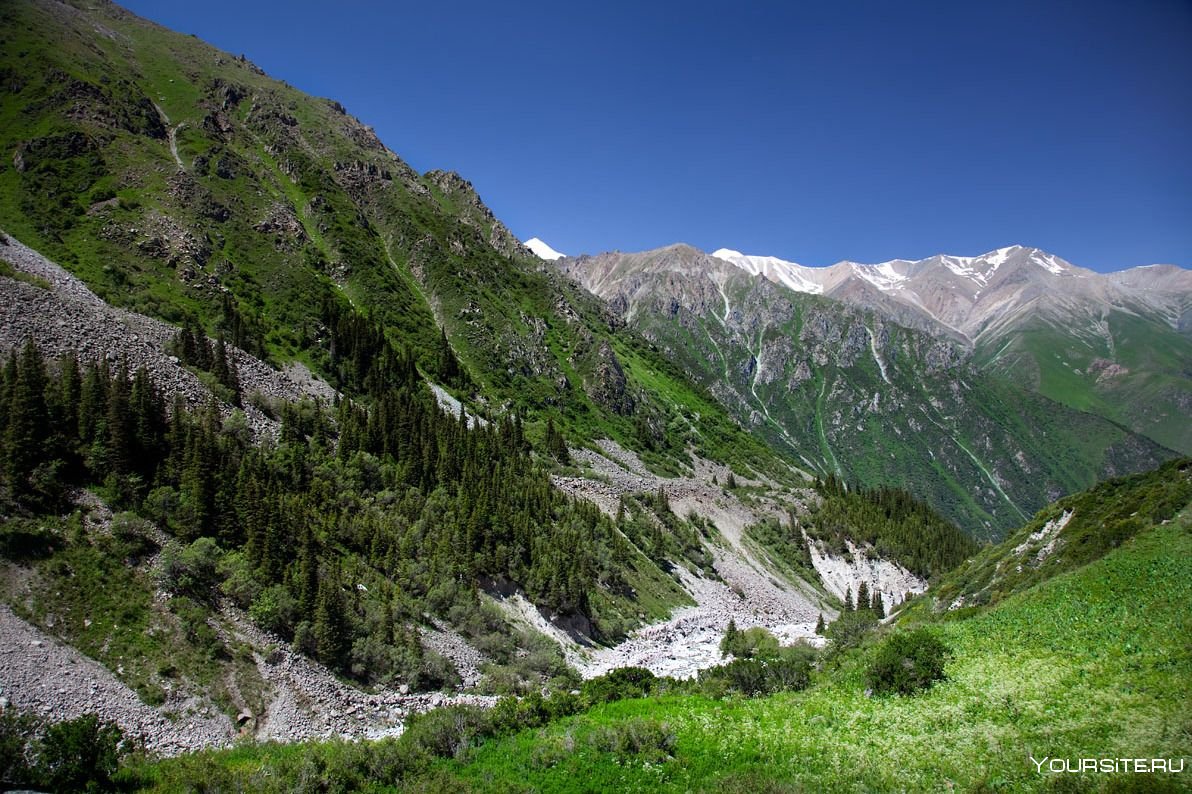 Кыргызстан ущелье ала-Арча