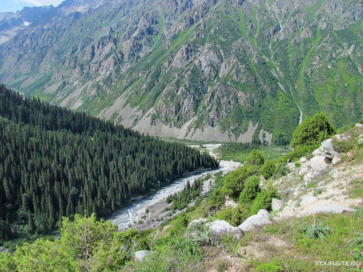 Киргизия парк ала Арча