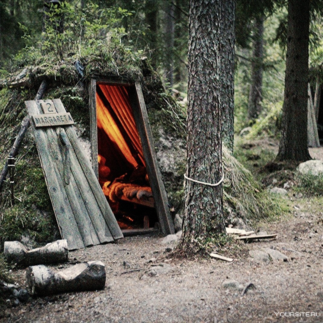 Заброшенная палатка в лесу