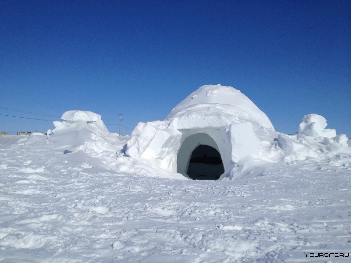 Иглу традиционное жилище эскимосов