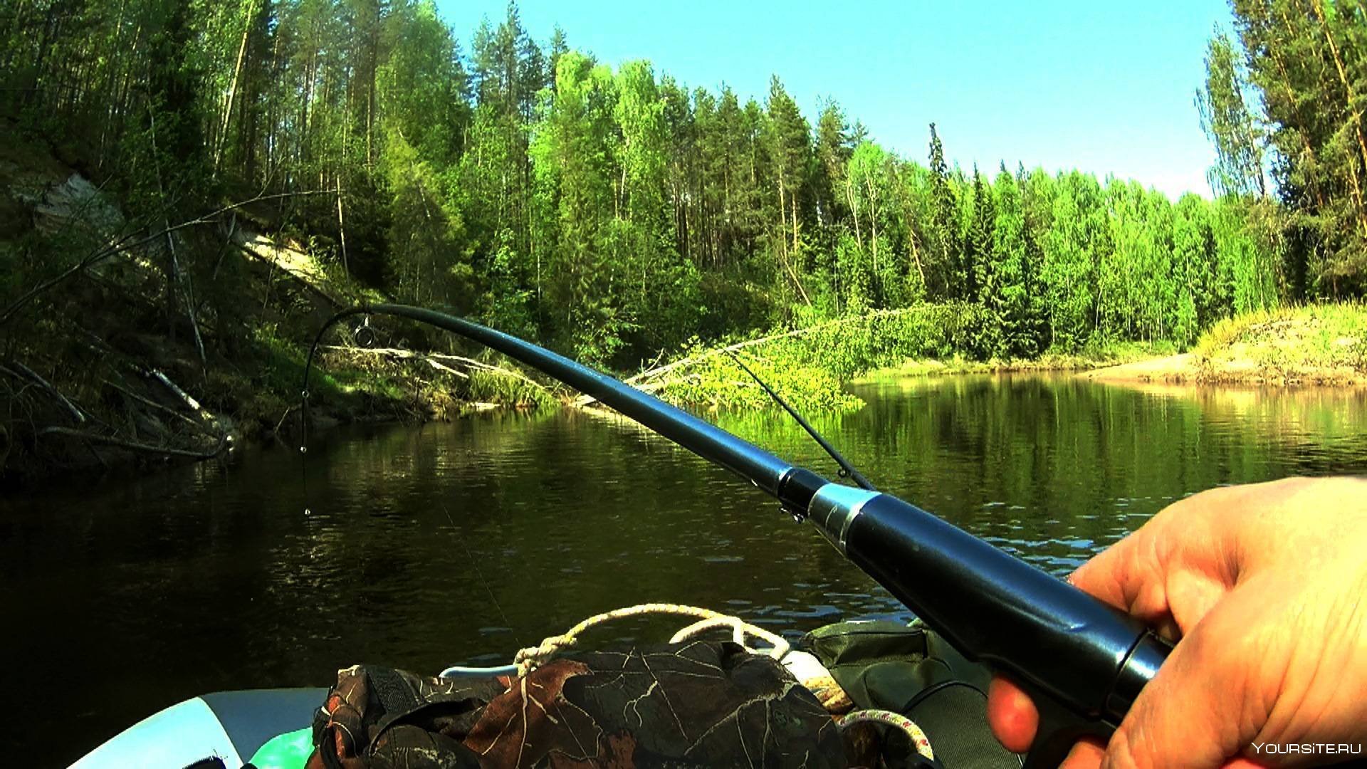 Видео реках и озерах. Тайга Сибирь сплав охота рыбалка. Тайга рыбалка река. Рыбалка на реках Сибири. Рыбалка на Таёжных реках.