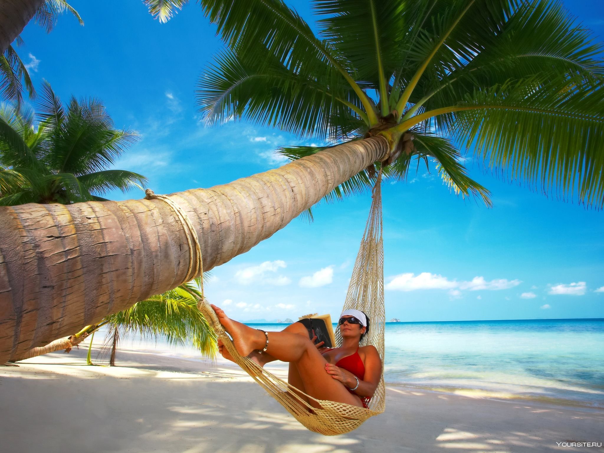 Куда можно съездить отдохнуть. Отдых картинки. Пальма Баунти с девушкой. Под пальмой. Путешествие в тропики.