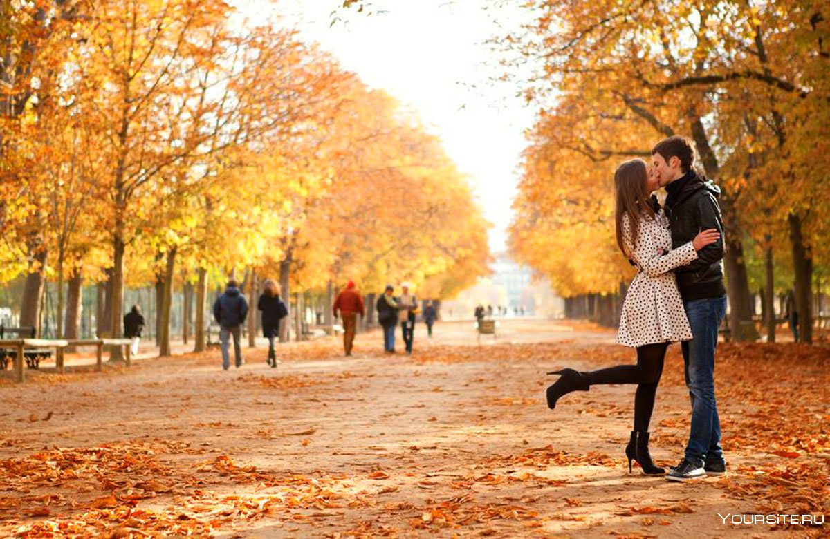 Осень пара в парке