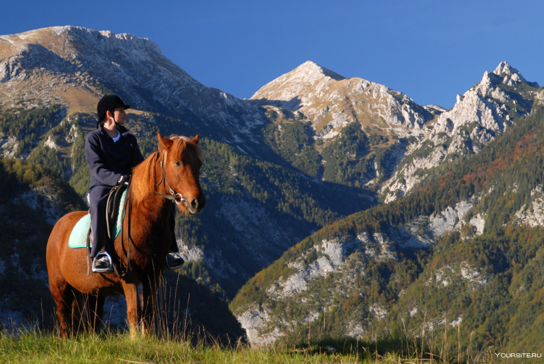 Верховая езда горный Алтай