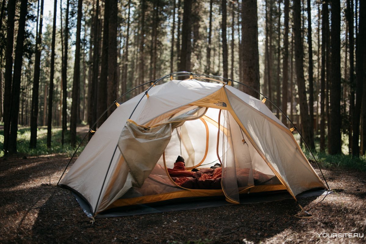 Большая палатка в лесу