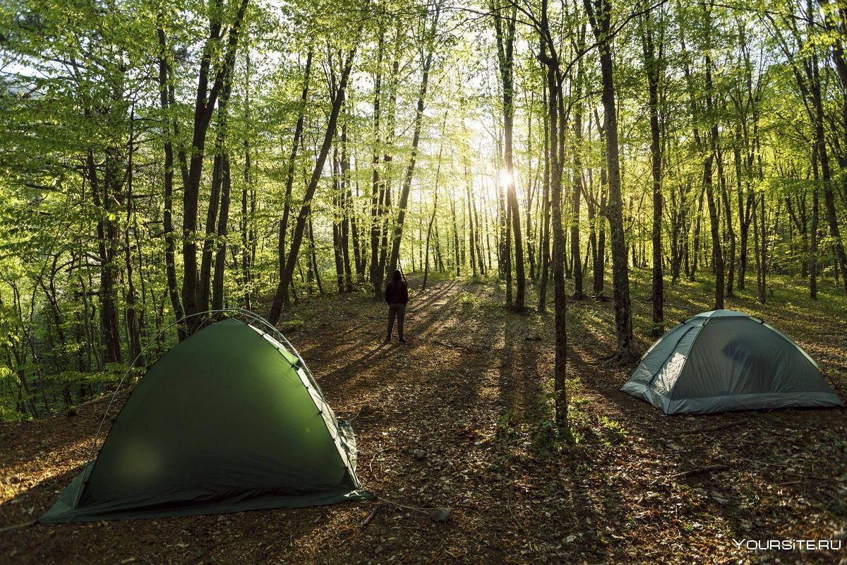 Трехместные палатки в лесу