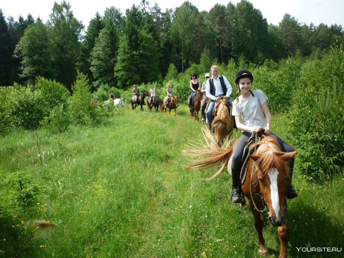 Туризм на лошадях