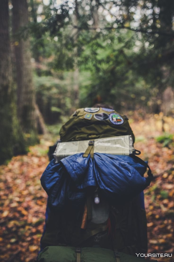 Рюкзак в лесу