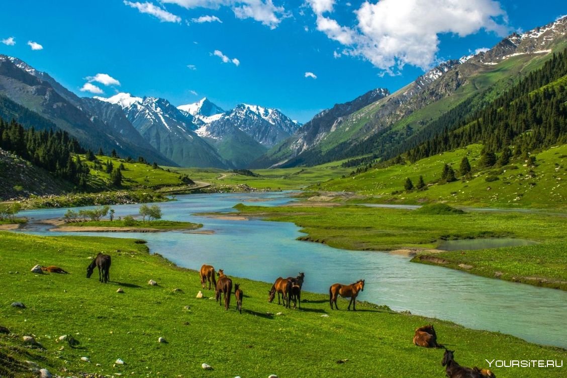 природа казахстана в хорошем качестве