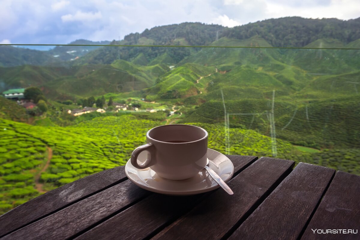 Чай в горах