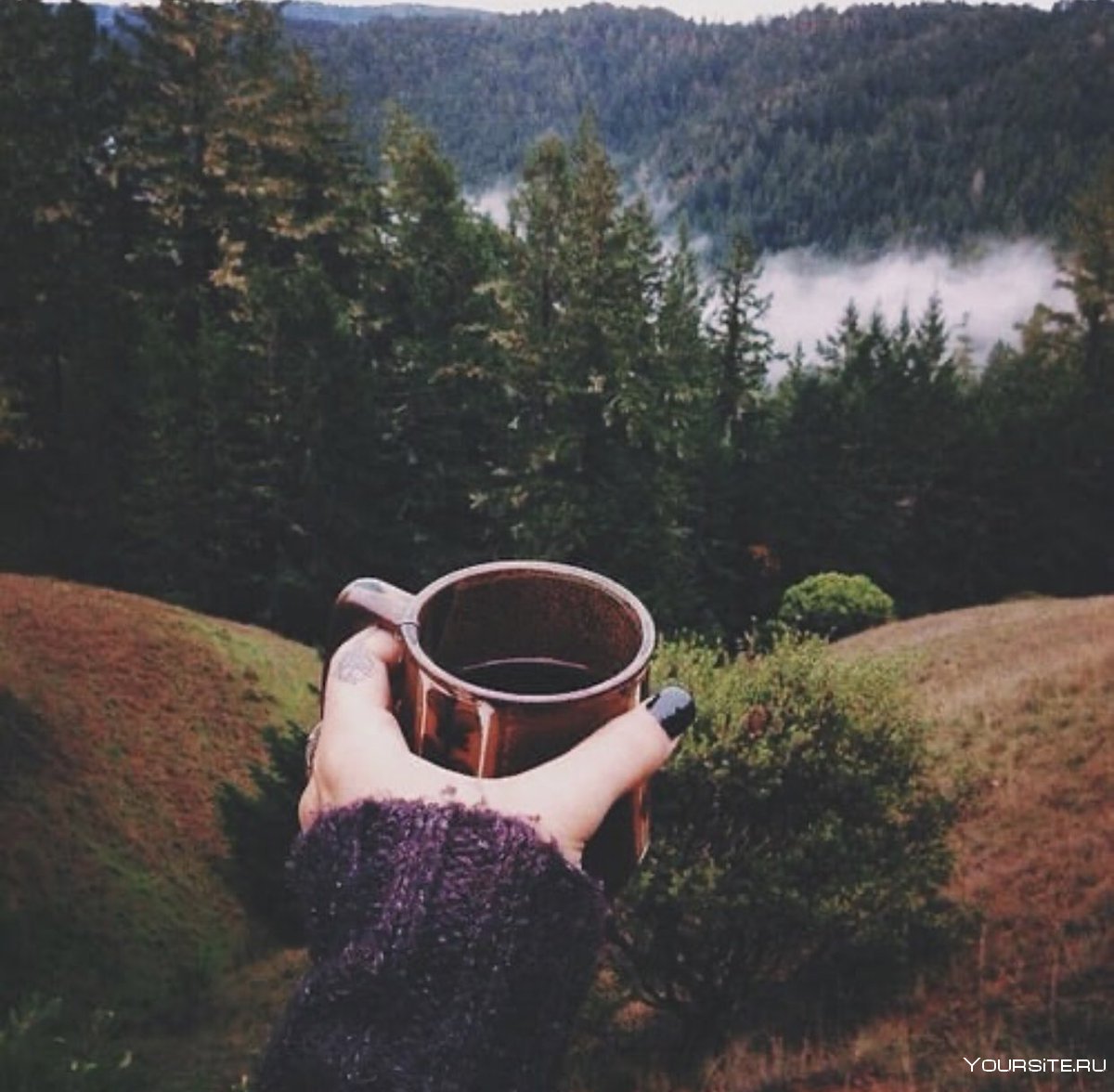 Рука с чашкой кофе на природе