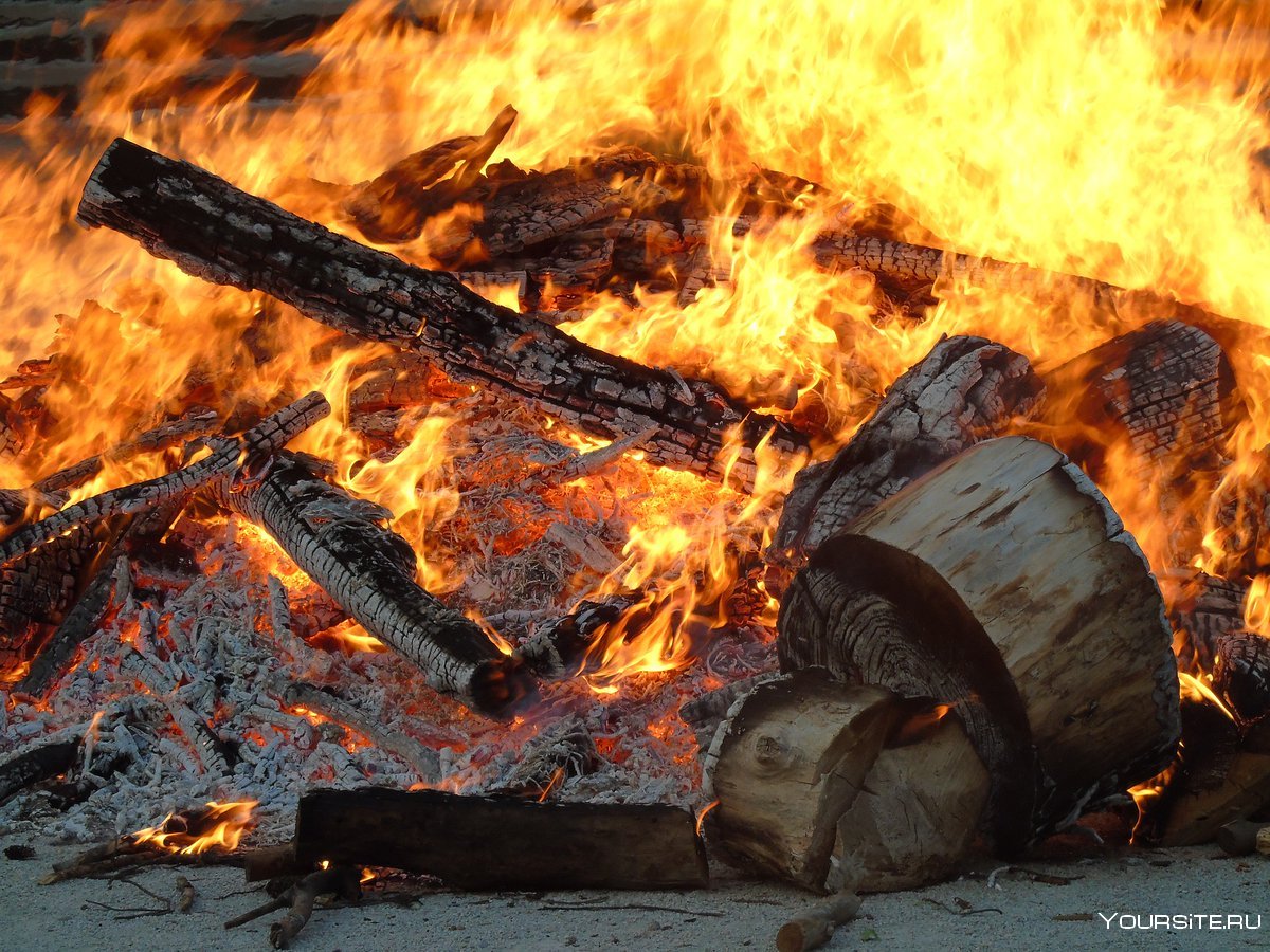 Сгоревшие дрова