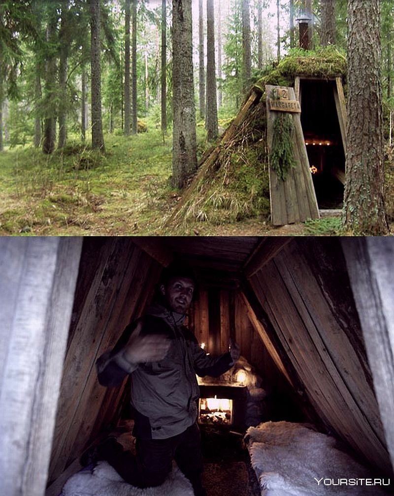 Дом отшельника в лесу