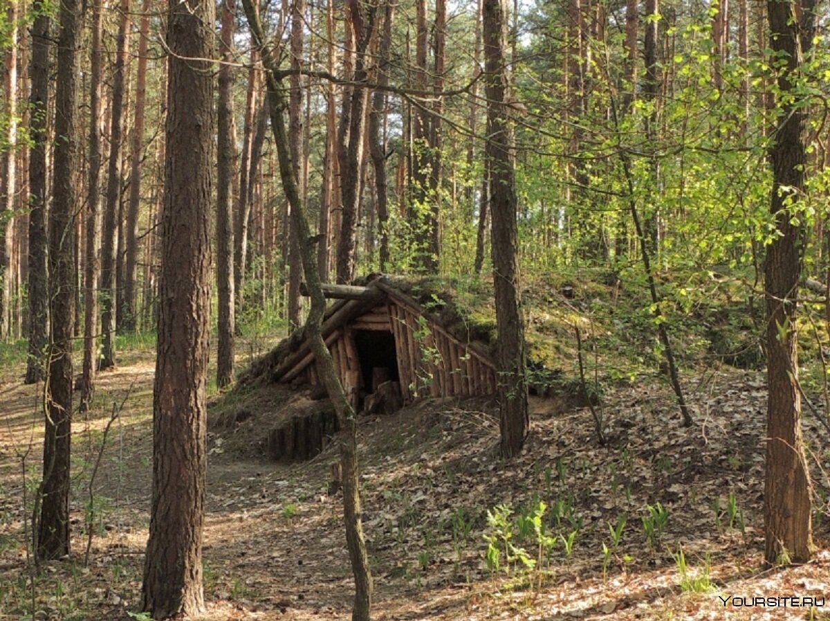 Лагерь Партизан в лесу