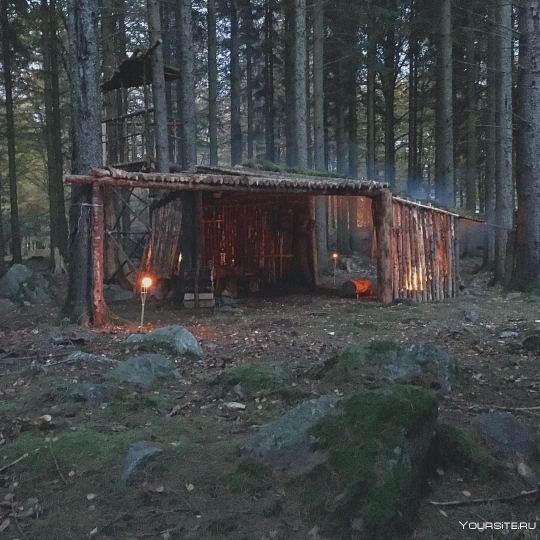 Укрытия в лесу для выживания