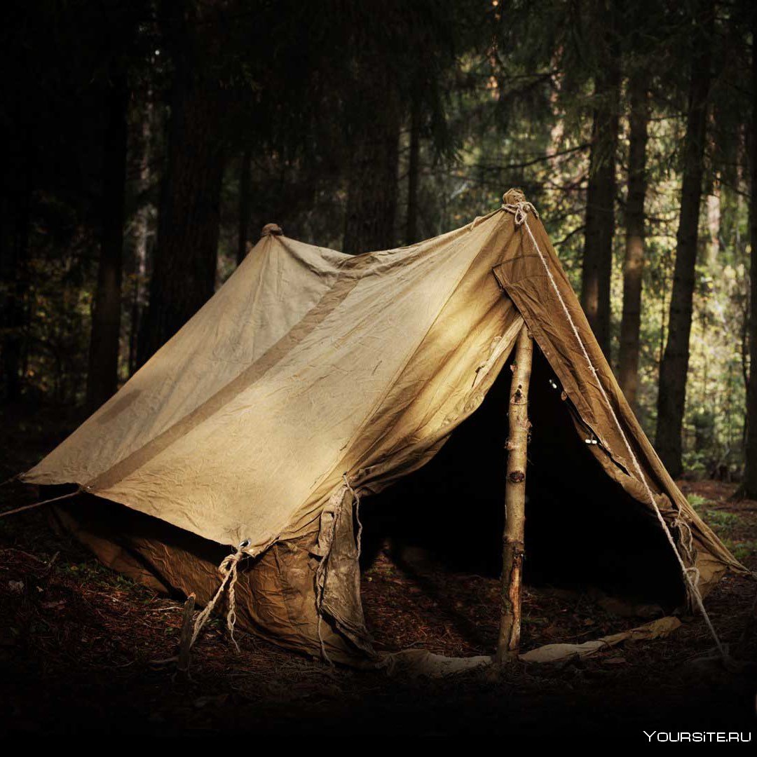Палатка в лесу арт