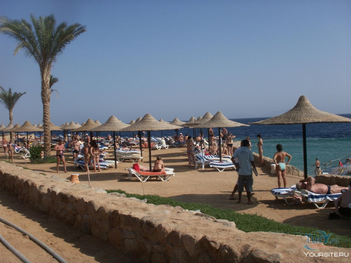 Viva Sharm Hotel 3 Египет