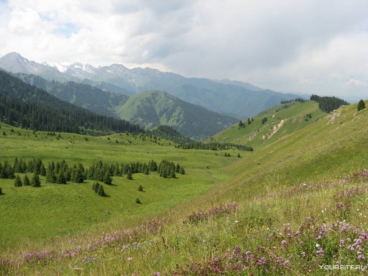 Киргизия горы Каракол