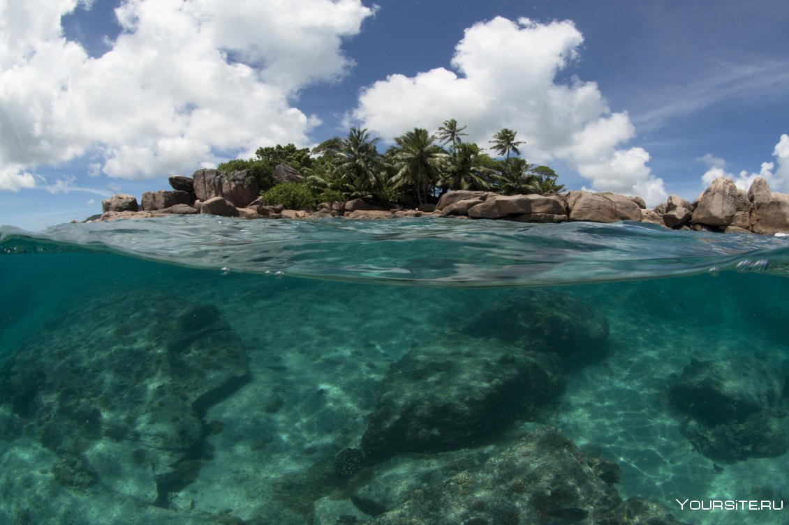 Карибы подводный мир