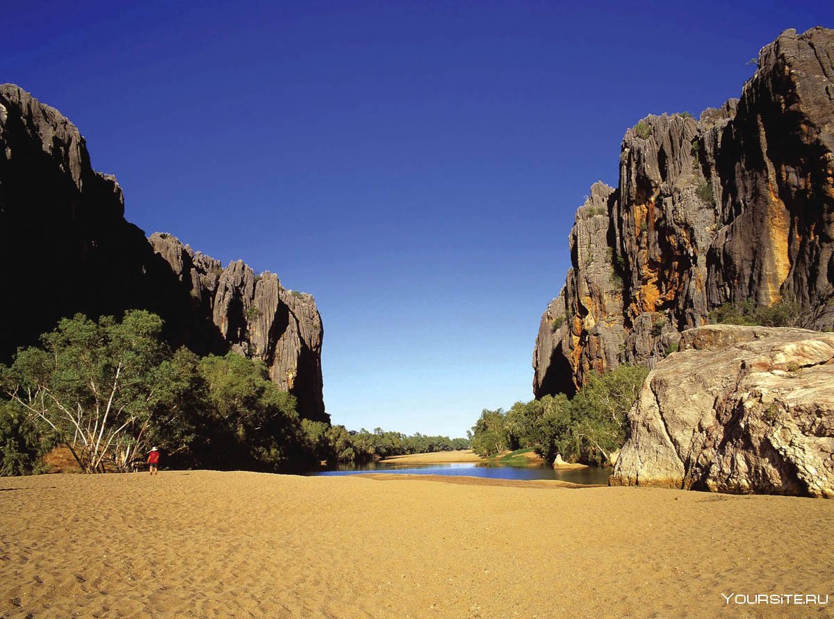 Австралийская природа рядом с рекой