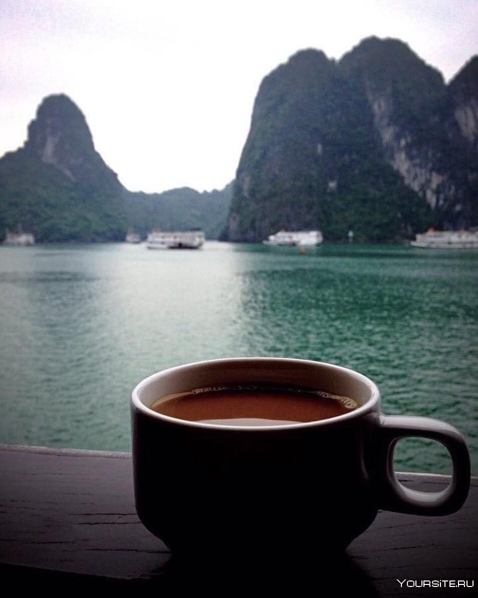 Кофе красивые виды горы