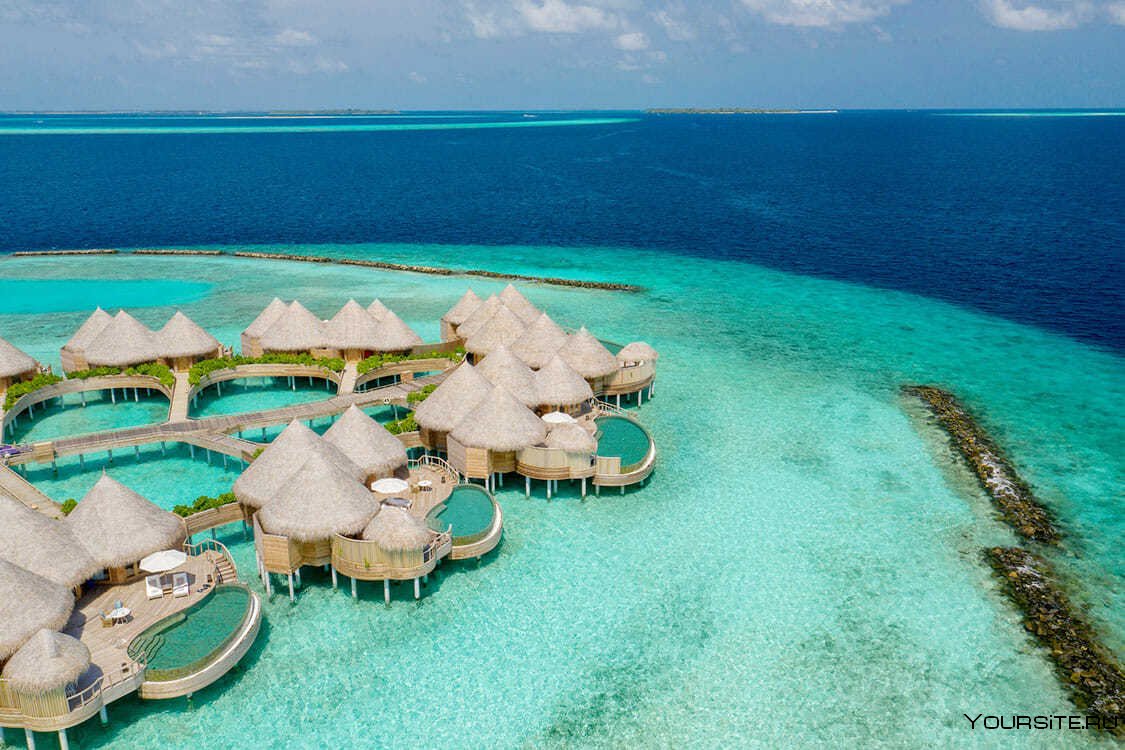 Наутилус Мальдивы остров