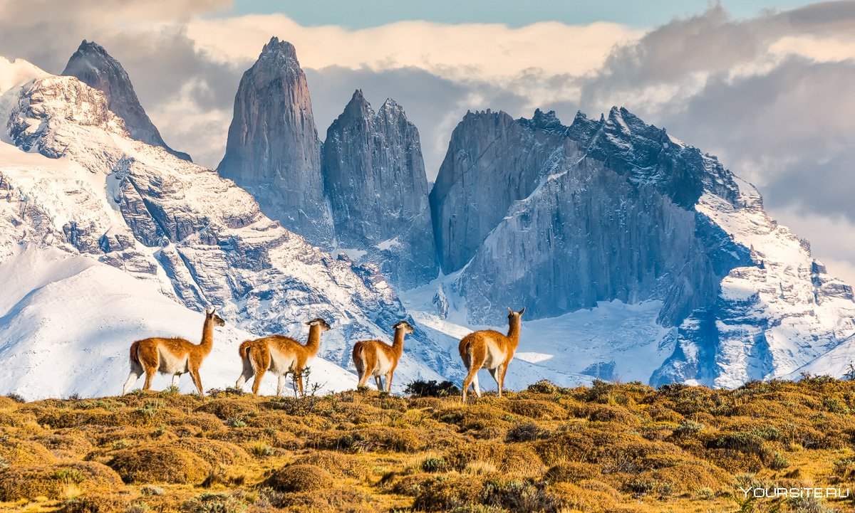 Национальный парк Патагония Чили