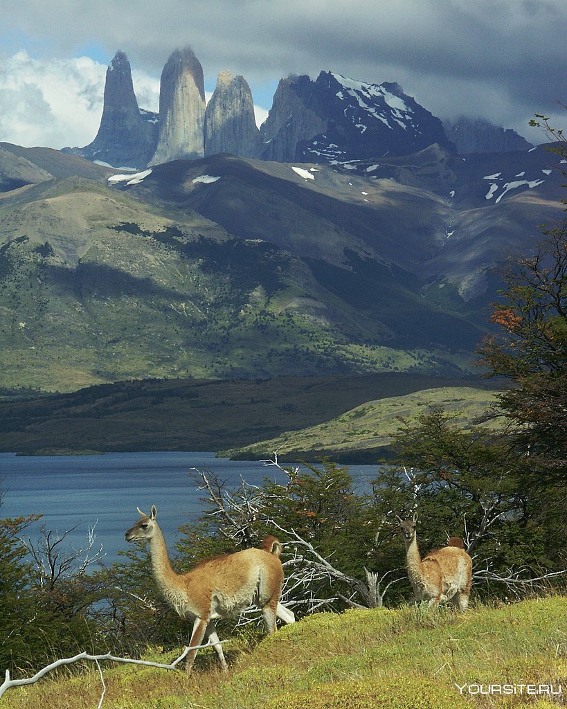 Патагония национальный парк