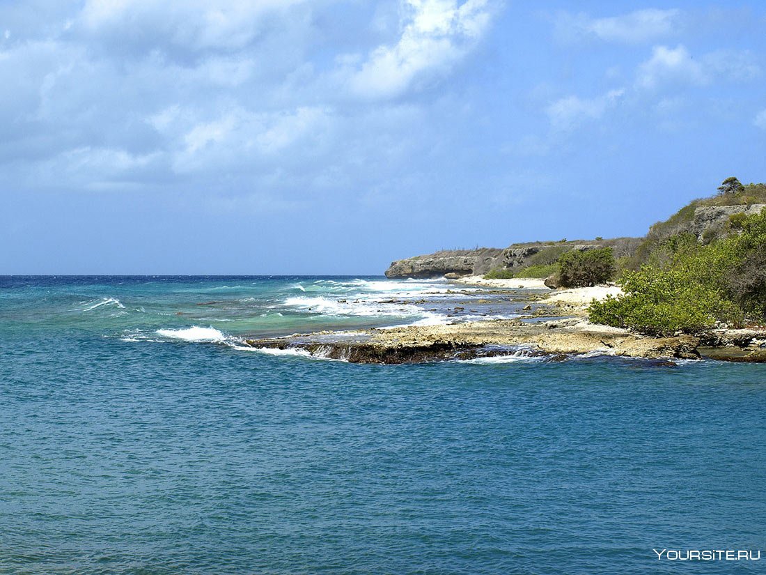 Island Curacao Beach бухта