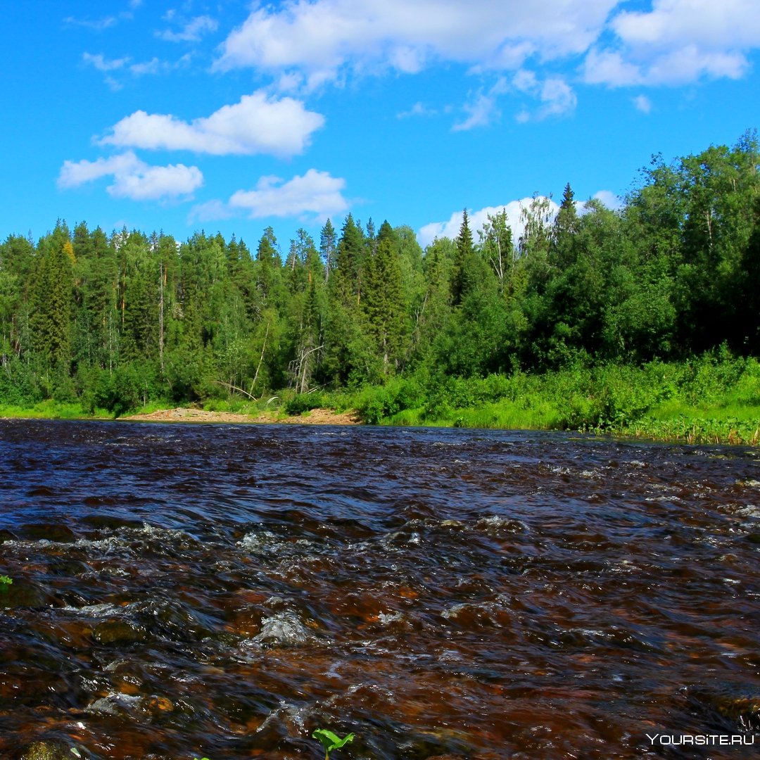 Звук реки слушать. Порожистая река. Природа Архангельской области. Звуки природы. Река шумней.