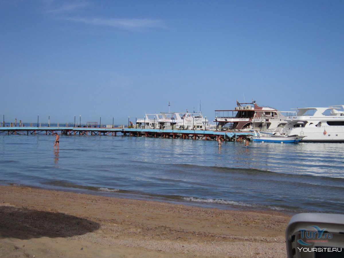Сафага рыбный рынок