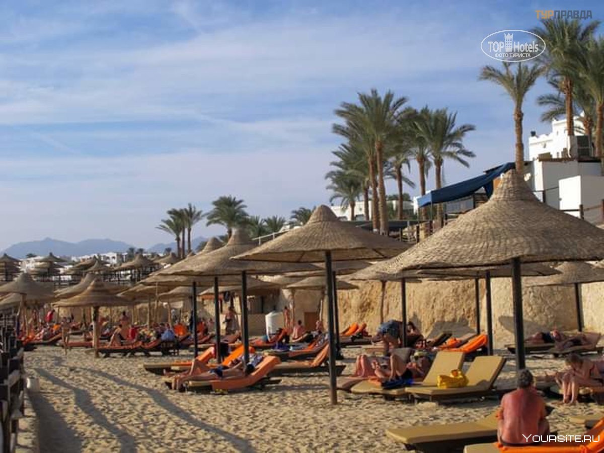 Sharm Сафага