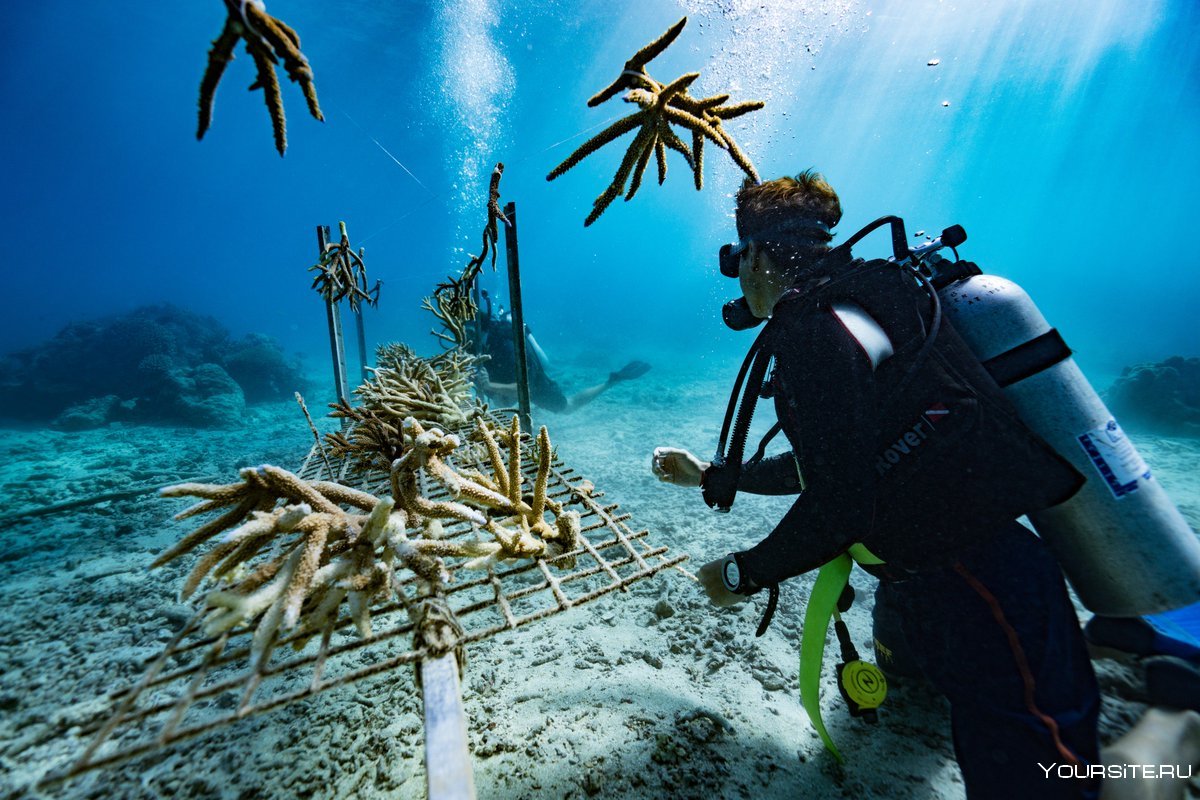 Океания туризм