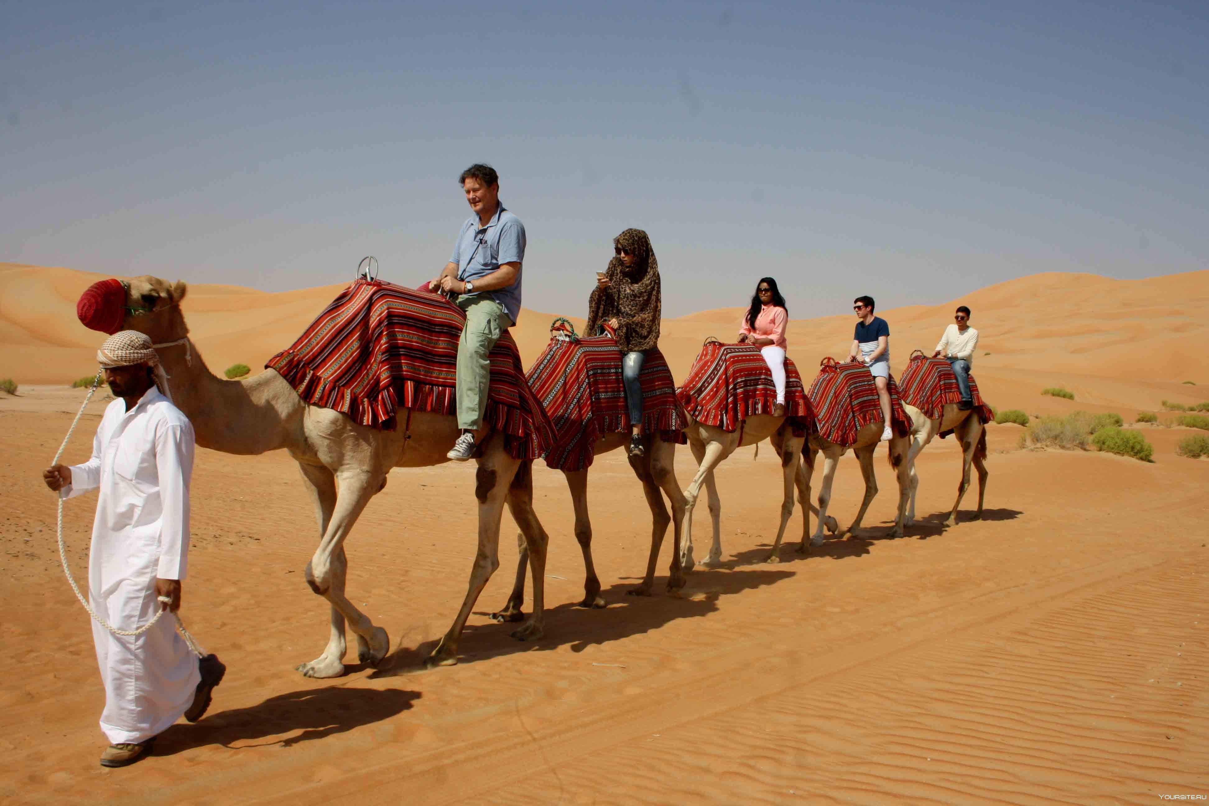 Люди каравана. Верблюд сафари Дубай. Бедуины в пустыне Египта. Караван бедуинов в пустыне. Сафари бедуины.
