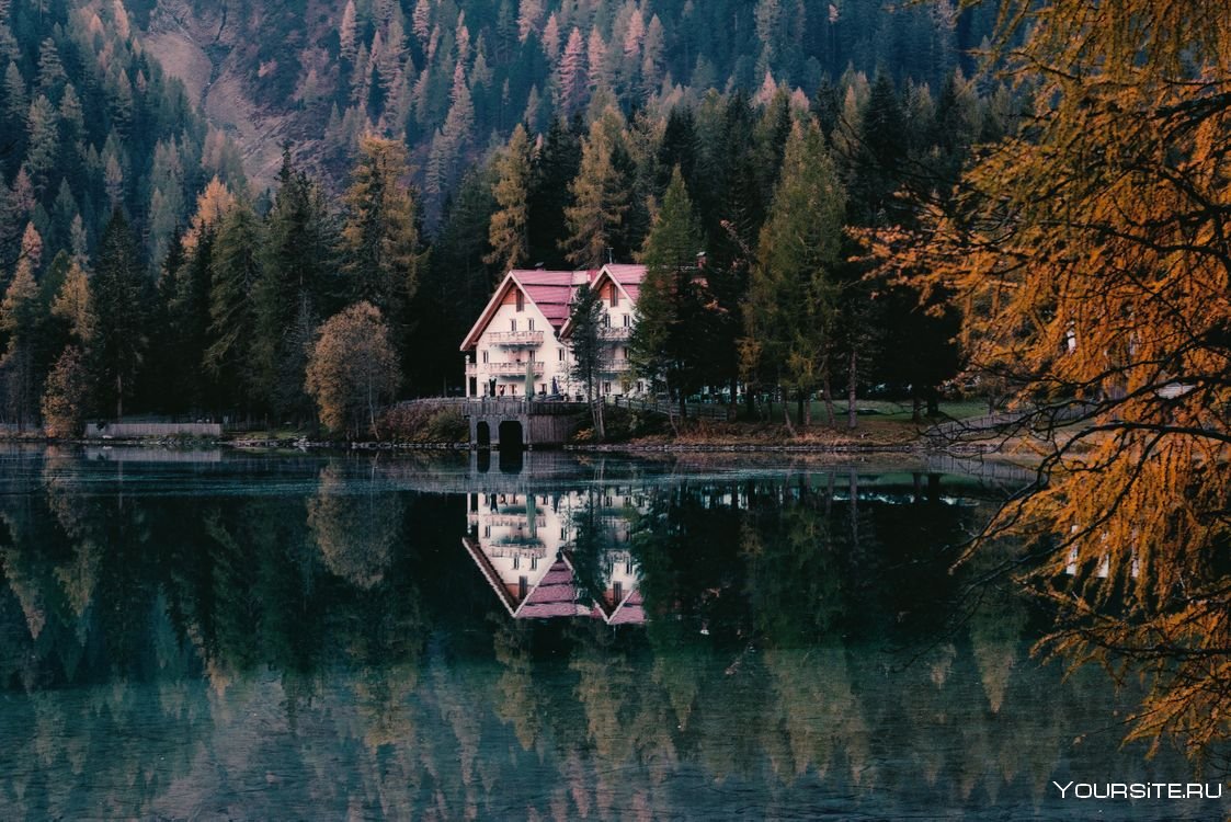 домик в лесу на берегу озера