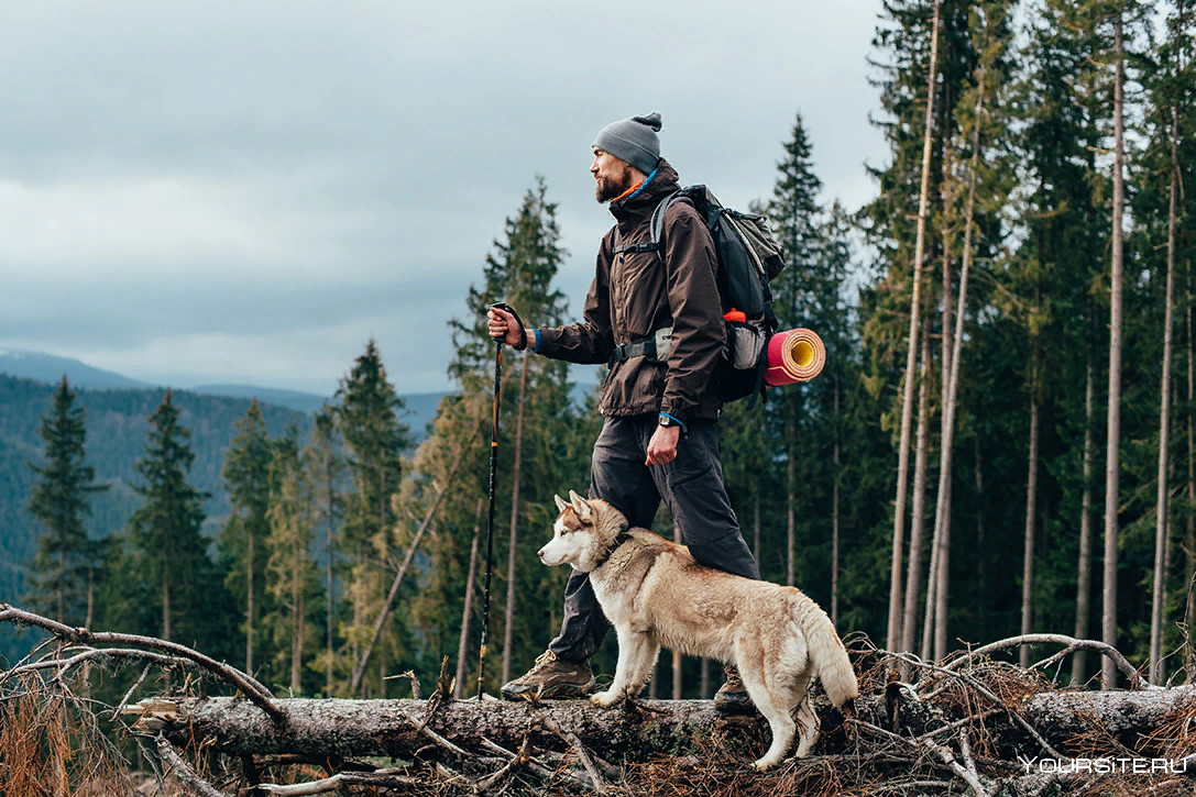 Человек с собакой в лесу
