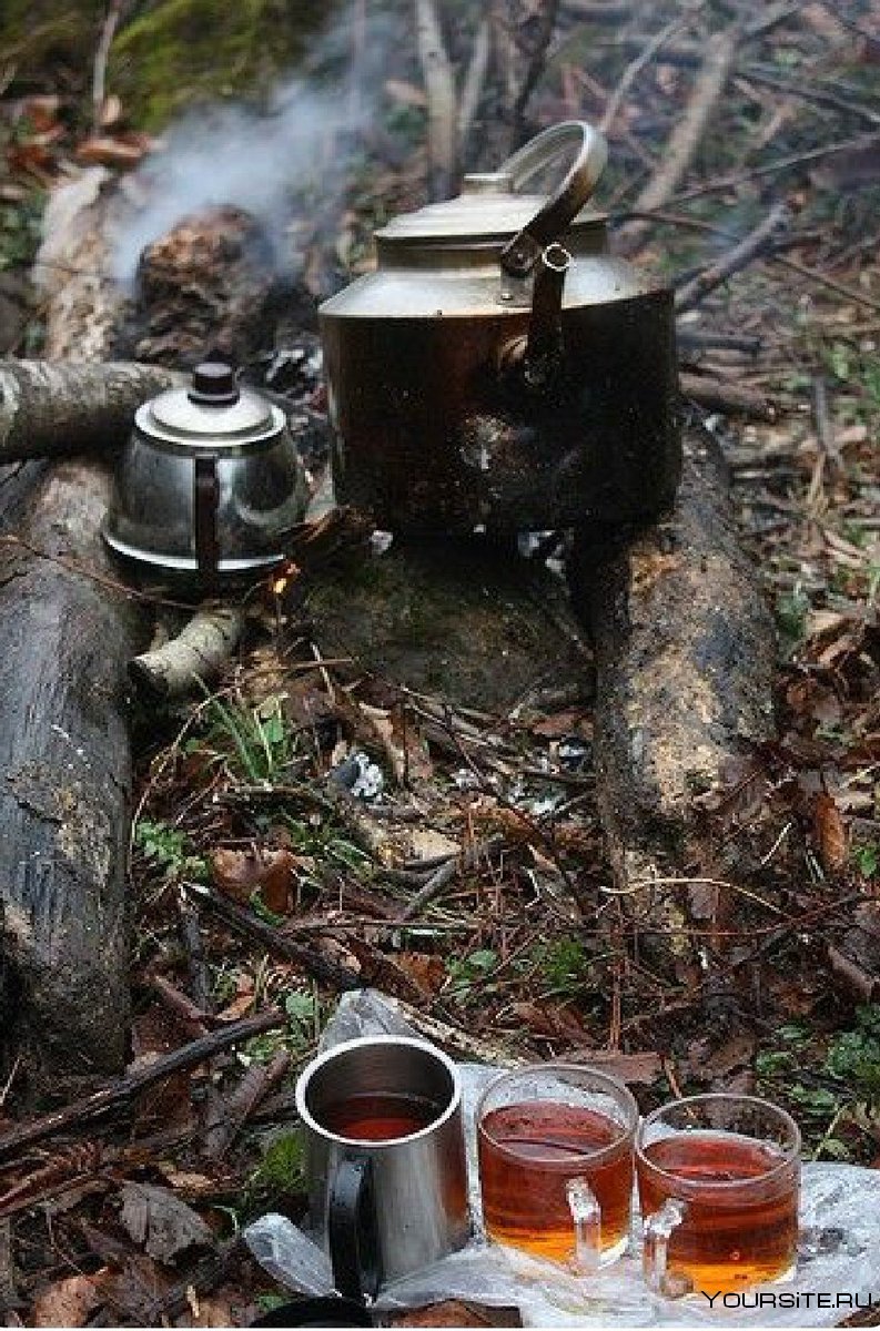 Чаепитие в лесу