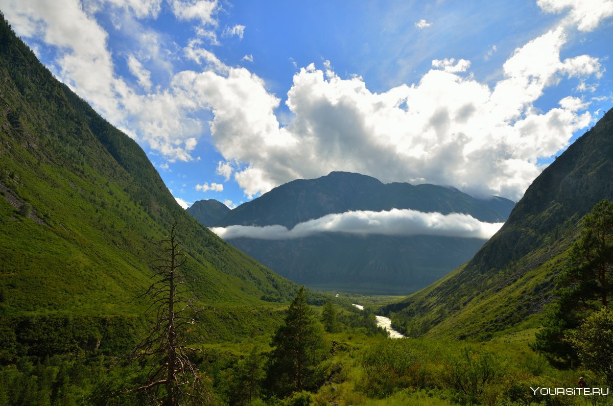 Алтайский природный биосферный заповедник