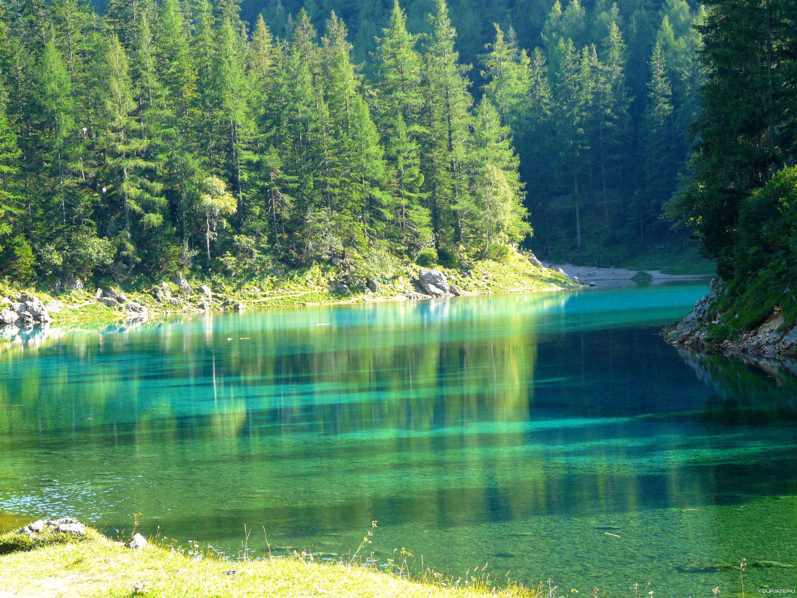 Парк зеленое озеро в Австрии