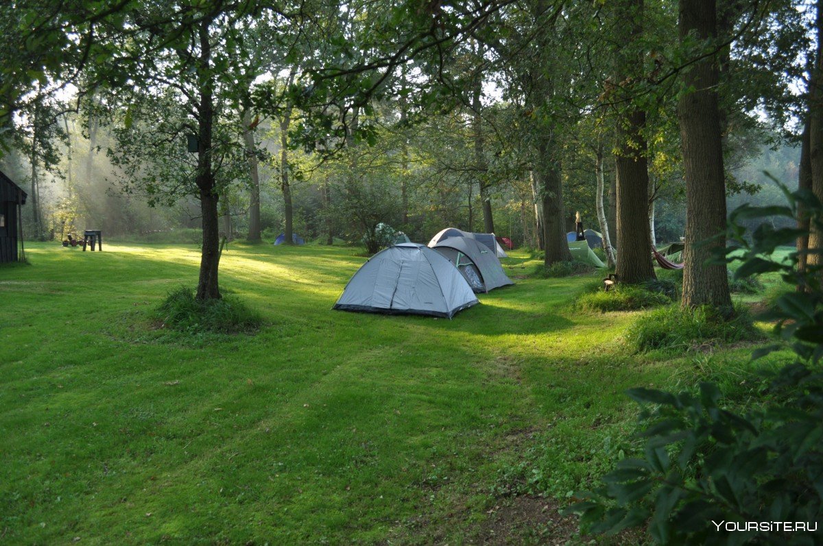 Гузерипль палаточный лагерь